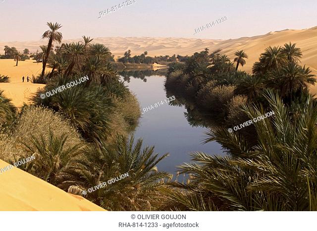 In the erg of Ubari, the Umm-el Ma Mother of the Waters Lake, Libya, North Africa, Africa