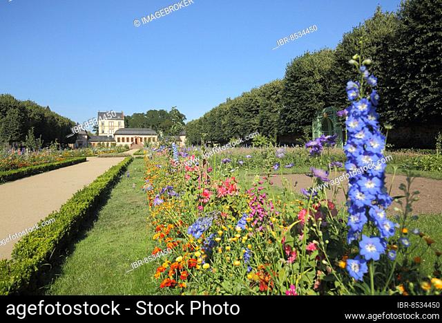 Prince George Garden and Pretlack House with Blue Flowers in Darmstadt, Bergstrasse, Hesse, Germany, Europe
