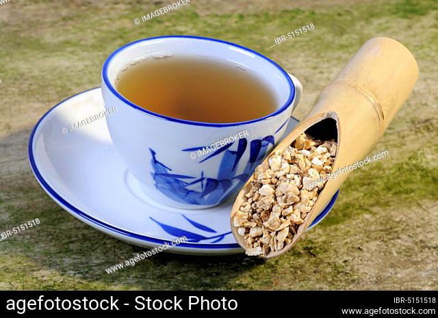 Cup Chinese Angelica Root Tea (Angelicae sinensis Radix), Angelica Root Tea