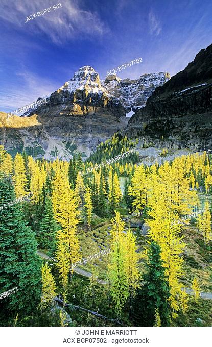 Yoho National Park and the larch valley, British Columbia, Canada