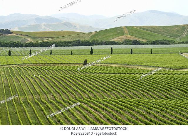 The Brancott Estate Winery in the Marlborough region near Blenheim, on the south island of New Zealand