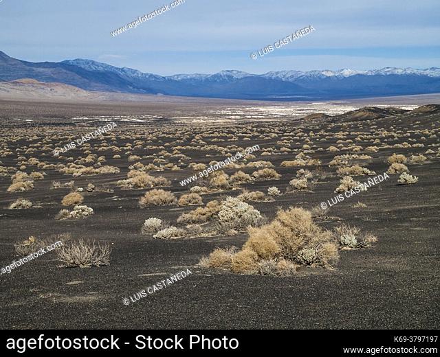 Death Valley National Park. California. USA