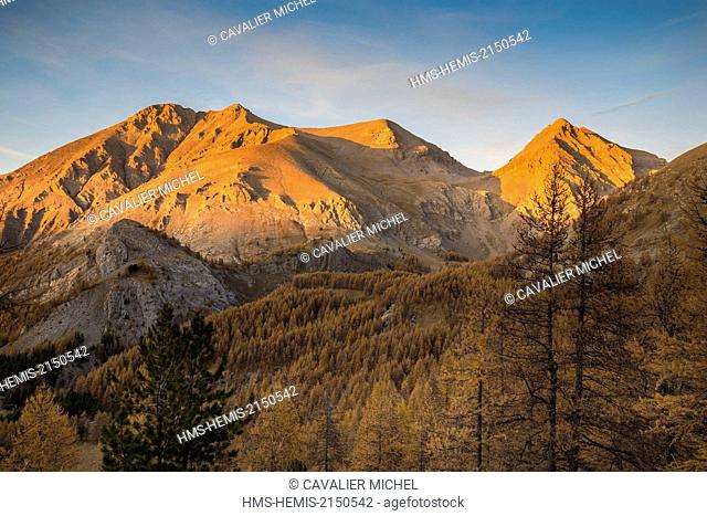 France, Alpes de Haute Provence, Parc National du Mercantour (National park of Mercantour), Haut Verdon, to the left the Mount Pelat (3051 m)