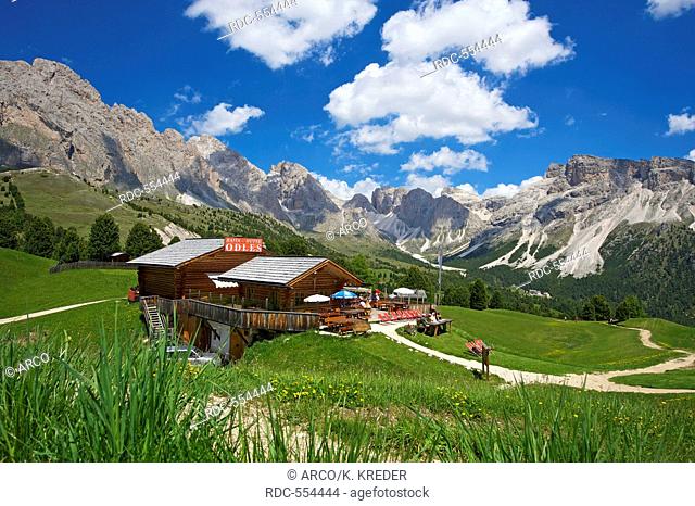 Seceda, Dolomites, Trentino, South Tyrol, Italy