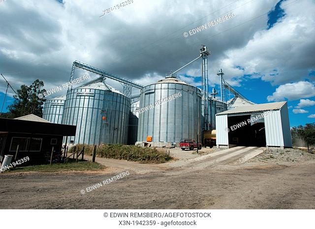 Canola oil (rapeseed) production at Molinera Gorbea, a grain processor involved in the manufacture of fish food in Temuco, Chile