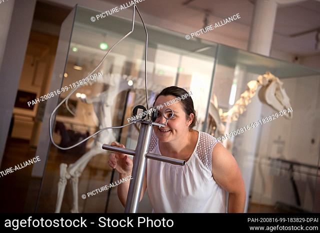 11 August 2020, Lower Saxony, Verden: Head of administration Ina Rohlfing looks through a model that simulates the field of vision of horses