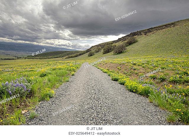 Gravel Road Hiking Trail on Columbia Hills State Park in Washington State