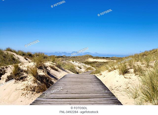 Wooden path across dunes near Norddorf, Amrum Island, Germany