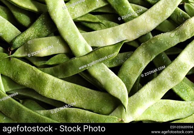 Close-up with fresh green beans sprinkled with water. Green beans pile top view. Organic vegetables