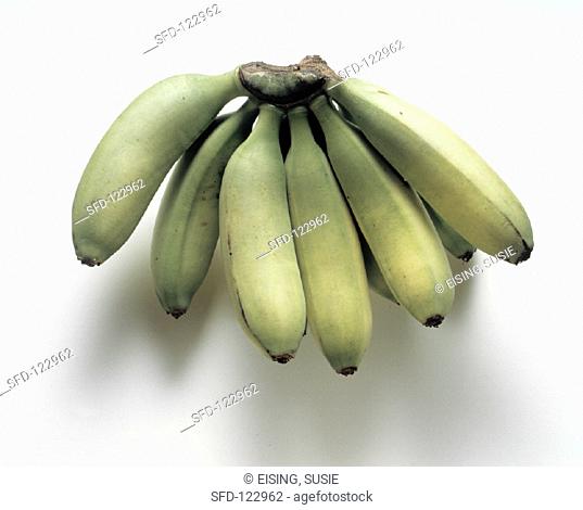 Bunch of Green Baby Bananas