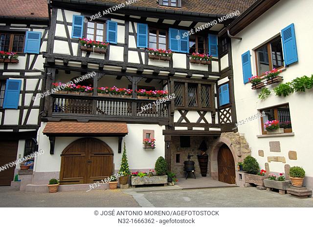Eguisheim, Wine Cellar, Alsace Wine Route, Haut-Rhin, Alsace, France, Europe