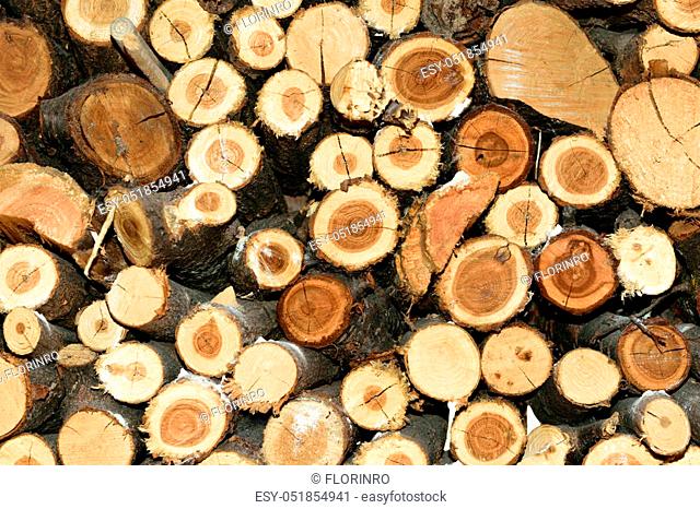 Log stack texture firewood