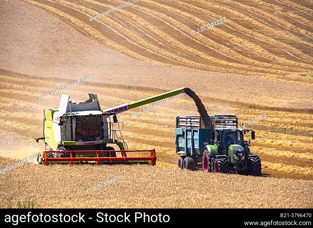 France, Nouvelle Aquitaine, Lot et Garonne,    Harvest near Saint Pastor