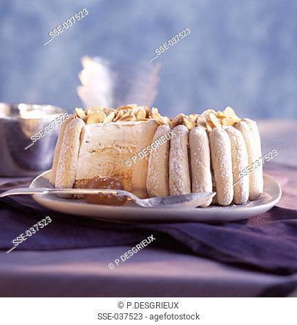 Ice cream and meringue Vacherin dessert