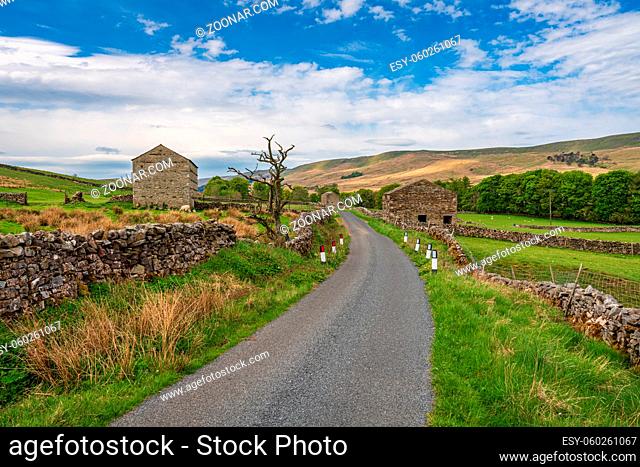 Rural road and some stone barns in the Upper Wensleydale near Hawes, North Yorkshire, England, UK