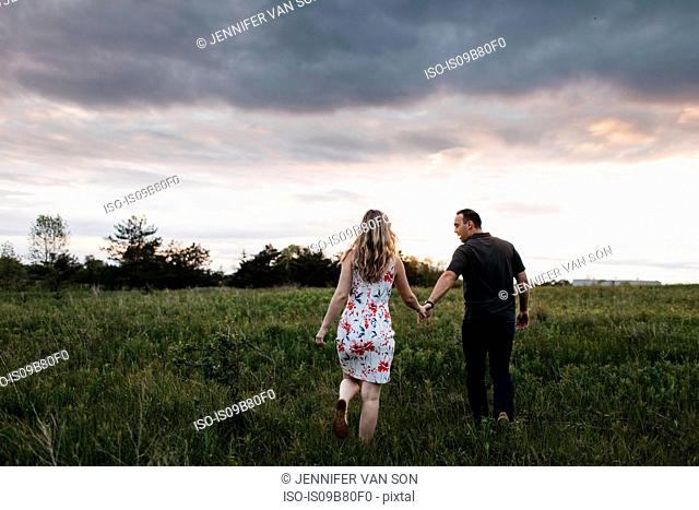 Rear view of romantic couple holding hands in field