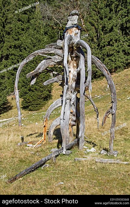 Ein verwittertes Baumfragment auf einer einsamen Bergwiese am Aufstieg zum Gipfel des Heimgarten in den Bayrischen Alpen