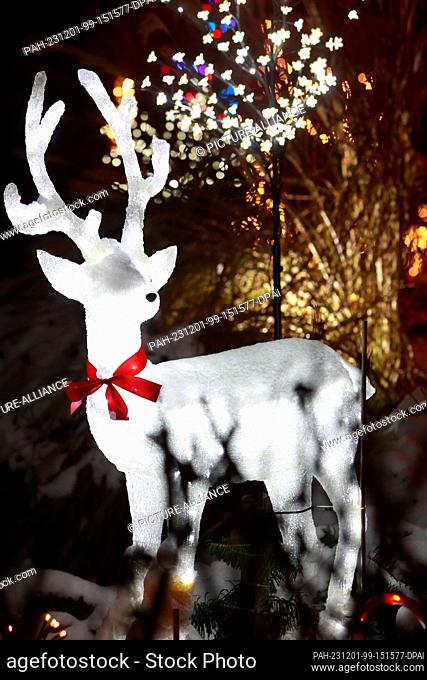 01 December 2023, Saxony-Anhalt, Gatersleben: A deer lights up in front of the Lange family's Christmas house. The house is traditionally decorated with...