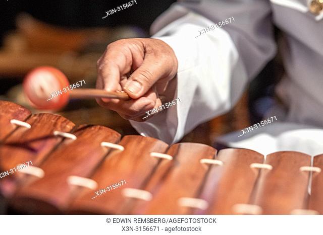 A man plays the Roneat Aek (Bamboo / wooden xylophone)