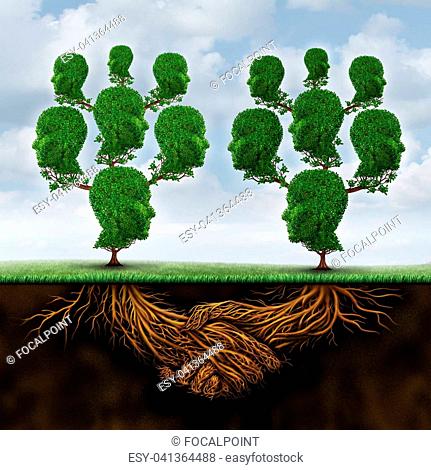 Group agreement concept and teamwork alliance united organization as two sets of family trees joining together with an underground root handshake with 3D...