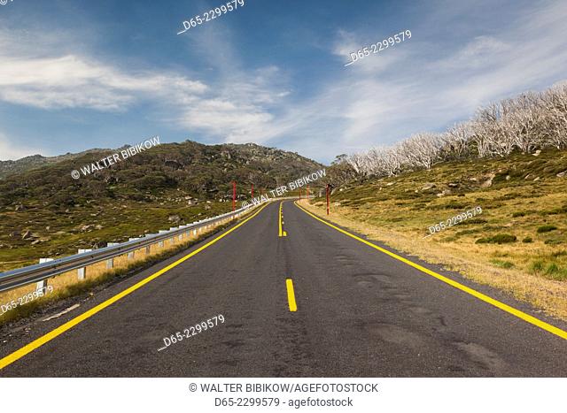 Australia, New South Wales, NSW, Kosciuszko National Park, Thredbo, mountain road