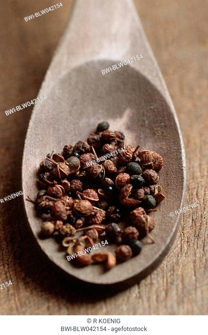 Sichuan pepper, Szetchwan pepper, Anise pepper, Sprice pepper, Chinese pepper, Japanese pepper, Japanese prickly ash Zanthoxylum piperitum, selection on spoon