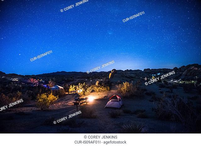 Camping site at night, Joshua Tree National Park, California, USA