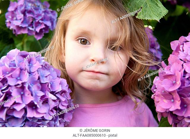 Little girl surrounded by hydrangea flowers, portrait