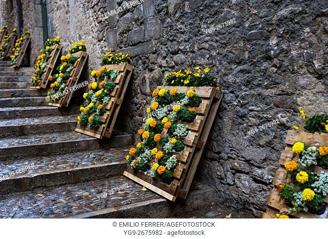 FLORAL ART EXHIBITION IN GIRONA. CATALONIA. SPAIN