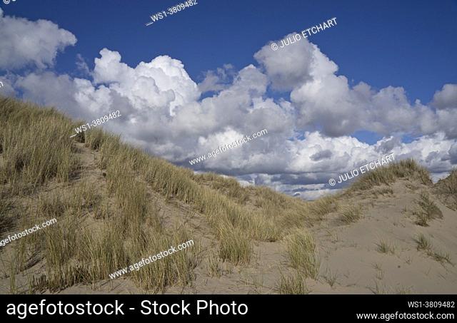 Sand dunes, grass and pebbles by the beach in Ynyslas at the Dyfi estuary, near Borth and Aberystwyth, Ceredigion, Wales, UK