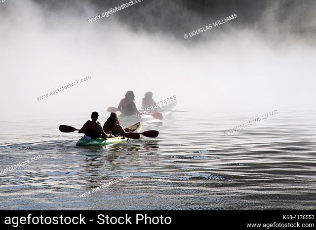 People paddling a paddle board in the fog of FUJIKO NAKAYA's Fog Sculpture #08025 (F. O. G. ), in front of the Guggenheim museum, Bilbao, Spain