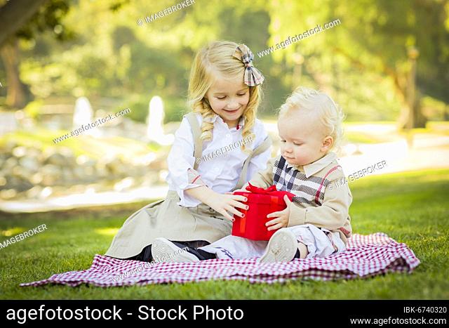 Sweet little girl gives her baby brother A wrapped gift on a picnic blanket outdoors at the park