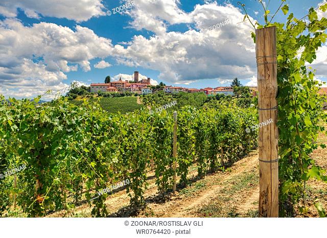 Vineyards and small town. Castiglione Falletto, It