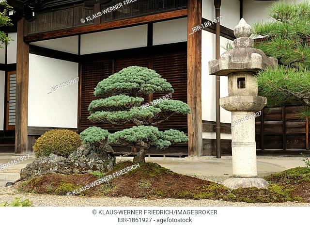 Bonsai pine tree, stone lamp, and a shoji, a sliding door, Iwakura near Kyoto, Japan, Asia