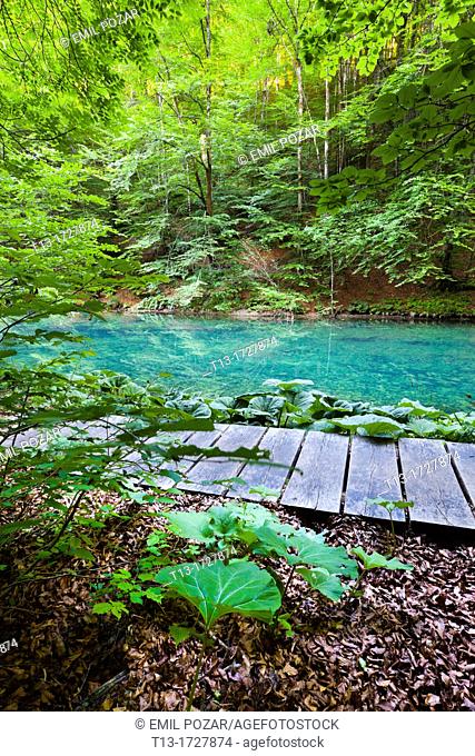 Wooden walkway in Kamacnik natural resort near Vrbovsko in Croatia
