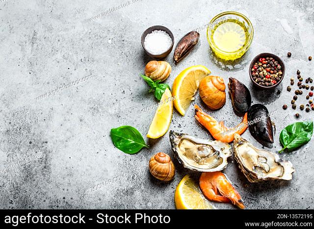 Assortment of fresh seafood: oysters, shrimps, clams, mussels, shells with lemon, olive oil, herbs on grey stone rustic background, top view, space for text
