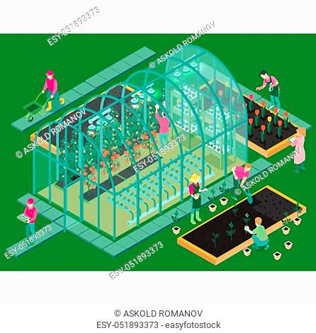 Greenhouse production isometric composition with glasshouse facility workers planting seedlings growing flowers vegetables hydroponic system vector illustration