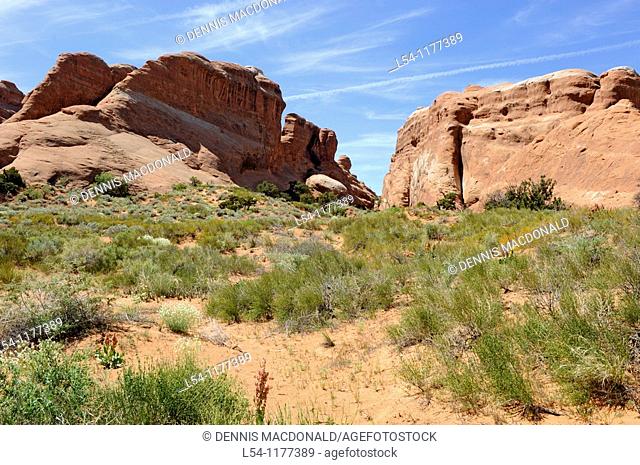 Devil's Garden Area Arches National Park Moab Utah