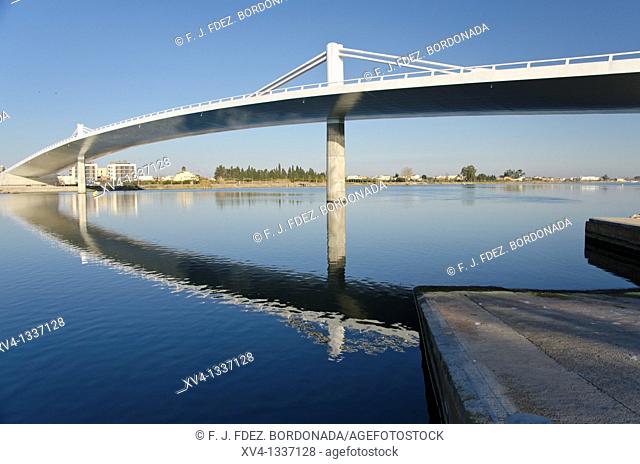 San Jaume d'Enveja new bridge 'Lo Passador' over Ebro river  Ebro Delta  Tarragona  Catalonia  Spain