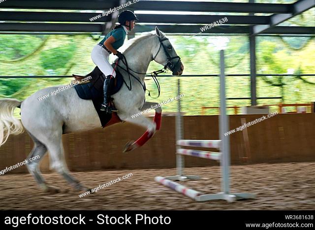 Riding a horse jump barrier bar handsome young girl