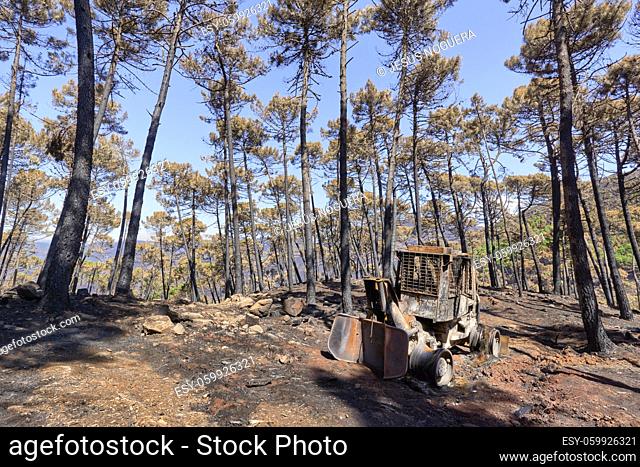 Maquinaria pesada incendiada en el incendio de Jubrique junto a Sierra Bermaja en el Valle del Genal, Málaga. Andalucía, España. Septiembre de 2021