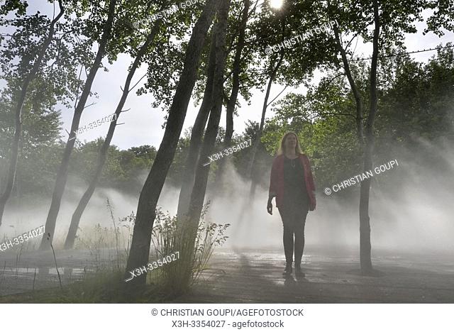 """""Cloud installation"" par Fujiko Nakaya, Pres du Goualoup, Domaine de Chaumont-sur-Loire, departement Loir-et-Cher, region Centre-Val de Loire, France