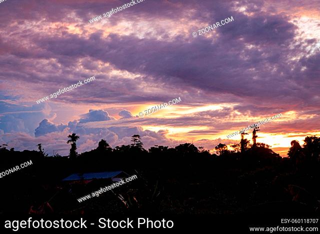 Tropical colorful vibrant sunset clouds and trees background