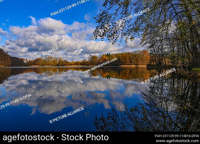 26 November 2023, Brandenburg, Falkenhagen: Clouds are reflected in the mill pond in the fall. Photo: Patrick Pleul/dpa. - Falkenhagen/Brandenburg/Germany
