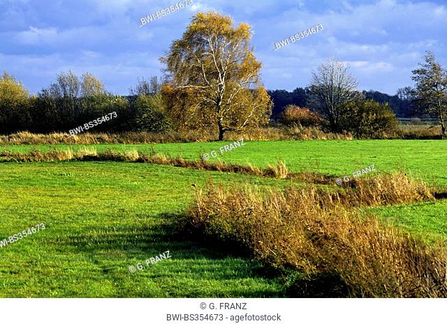 Tietjens hut county Osterholz, view over Hamme meadows, Germany, Lower Saxony, Osterholz