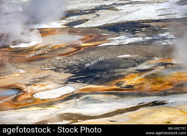 Abstract detail, hot springs, colorful mineral deposits in Porcelain Basin, Noris Geyser Basin, Yellowstone National Park, Wyoming, USA, North America