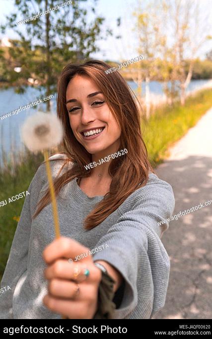 Smiling woman showing blowball in nature