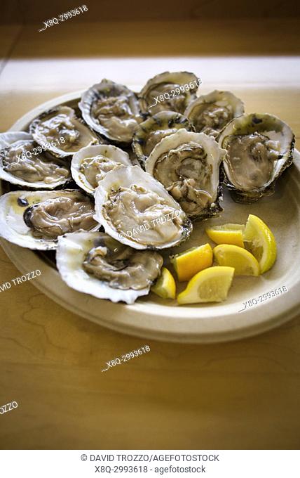 Plate of Oysters on the half shell