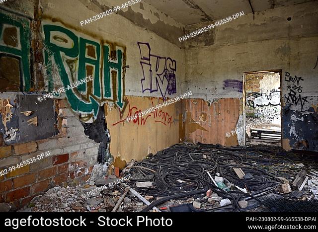 02 August 2023, Brandenburg, Oranienburg: The walls of a dilapidated building of the former airport are smeared with graffiti near Oranienburg