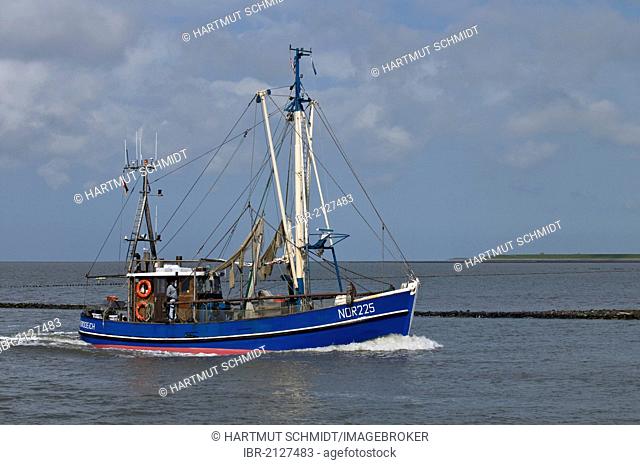 Blue crab fishing boat, NOR 225, returning to the port of Norddeich after fishing, Lower Saxon Wadden Sea, UNESCO World Heritage Site, Lower Saxony, Germany